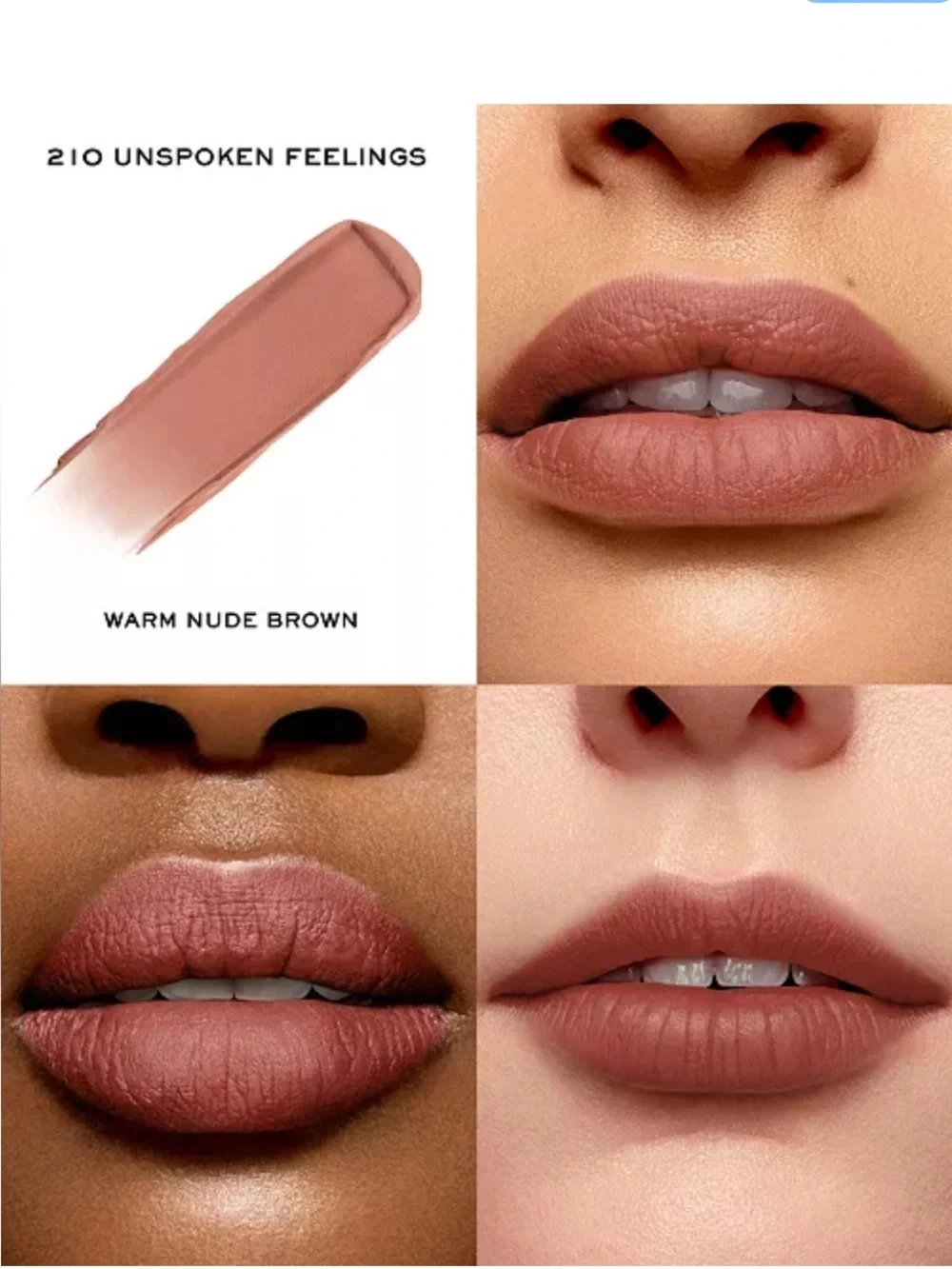 Lancôme/210 Unspoken feelings L'Absolu Rouge Intimatte